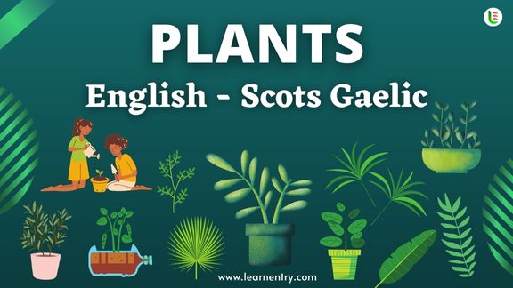 Plant names in Scots gaelic and English