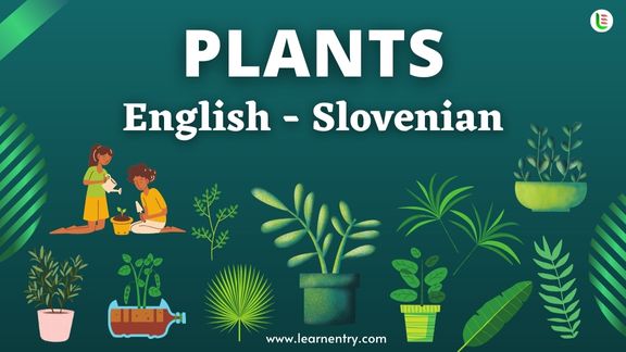 Plant names in Slovenian and English