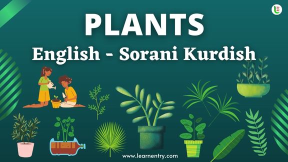 Plant names in Sorani kurdish and English