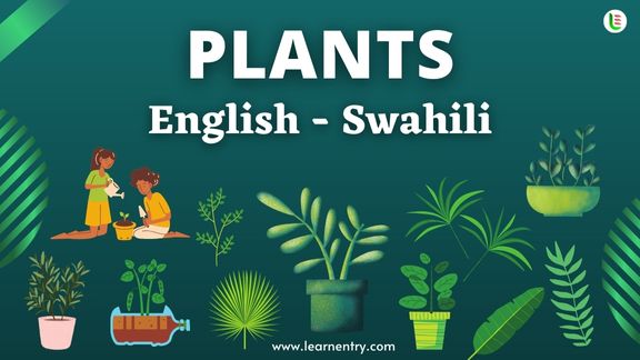 Plant names in Swahili and English