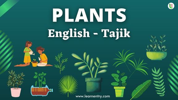Plant names in Tajik and English
