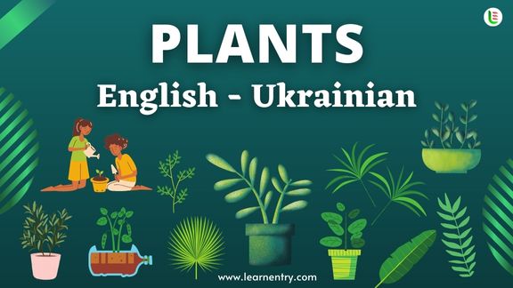 Plant names in Ukrainian and English