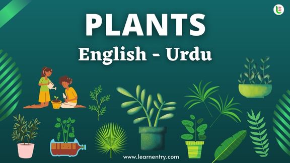 Plant names in Urdu and English