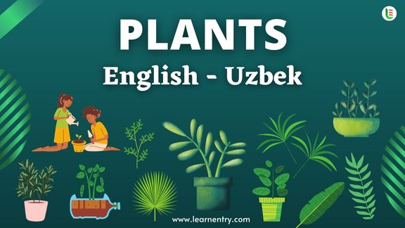 Plant names in Uzbek and English - Common Uzbek Vocabulary