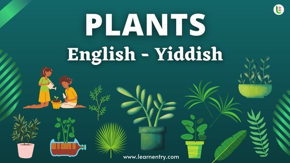 Plant names in Yiddish and English