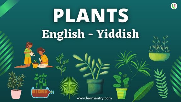 Plant names in Yiddish and English - Common Yiddish Vocabulary