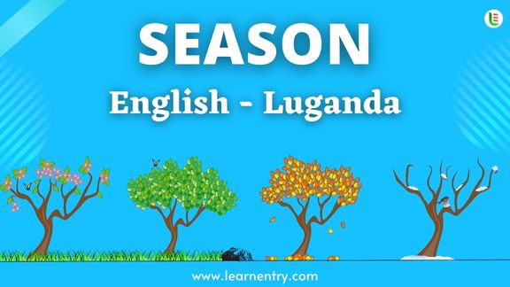 Season names in Luganda and English - Common Luganda Vocabulary