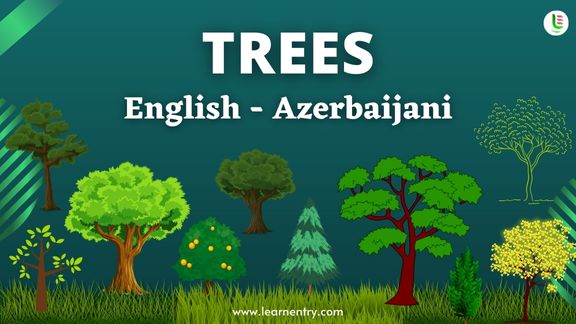 Tree names in Azerbaijani and English - Common Azerbaijani Vocabulary