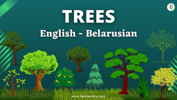 Tree names in Belarusian and English