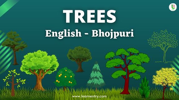 Tree names in Bhojpuri and English