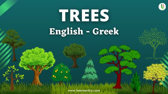 Tree names in Greek and English - Common Greek Vocabulary