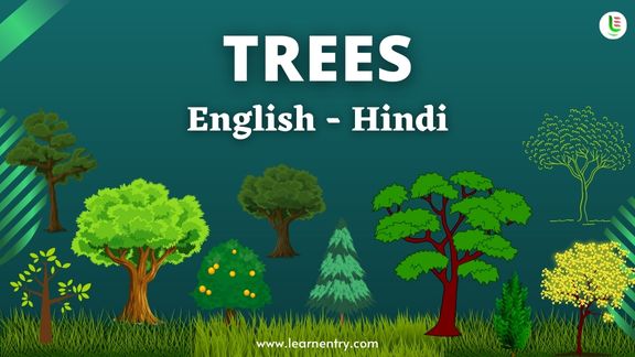 Tree names in Hindi and English