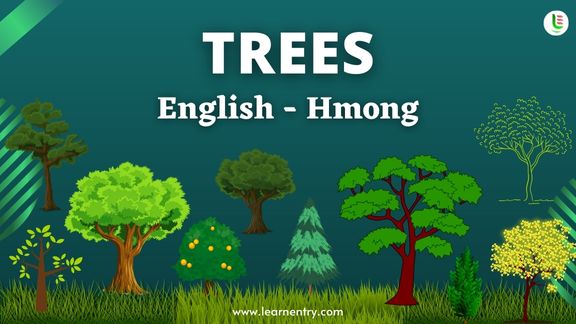 Tree names in Hmong and English - Common Hmong Vocabulary