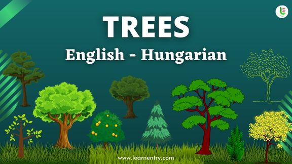 Tree names in Hungarian and English - Common Hungarian Vocabulary