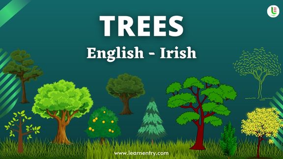 Tree names in Irish and English - Common Irish Vocabulary