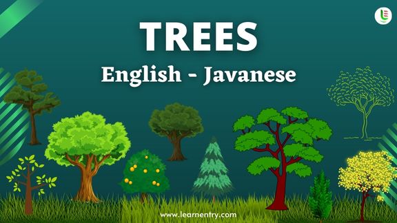 Tree names in Javanese and English - Common Javanese Vocabulary