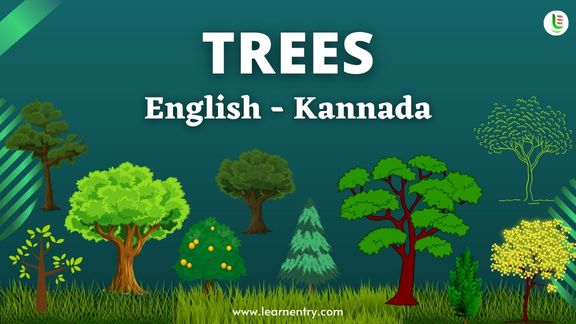 Tree names in Kannada and English - Common Kannada Vocabulary