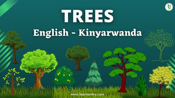Tree names in Kinyarwanda and English
