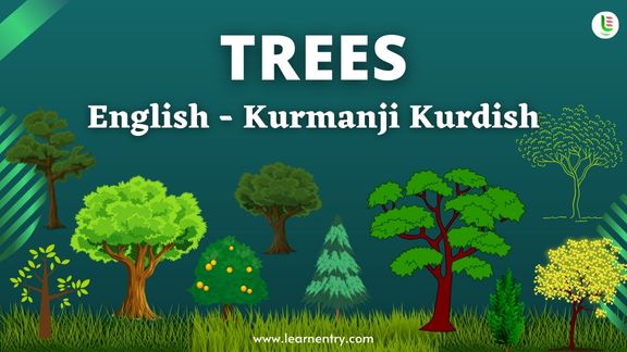 Tree names in Kurmanji kurdish and English - Common Kurmanji kurdish Vocabulary