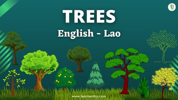 Tree names in Lao and English - Common Lao Vocabulary