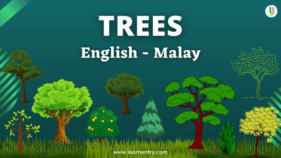 Tree names in Malay and English - Common Malay Vocabulary
