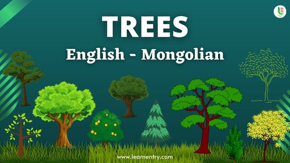 Tree names in Mongolian and English - Common Mongolian Vocabulary