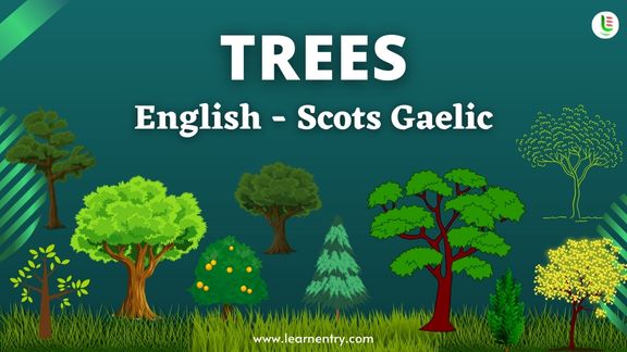 Tree names in Scots gaelic and English