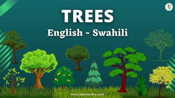 Tree names in Swahili and English - Common Swahili Vocabulary