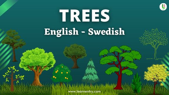 Tree names in Swedish and English - Common Swedish Vocabulary