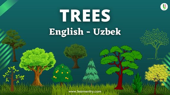 Tree names in Uzbek and English - Common Uzbek Vocabulary