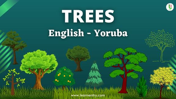 Tree names in Yoruba and English