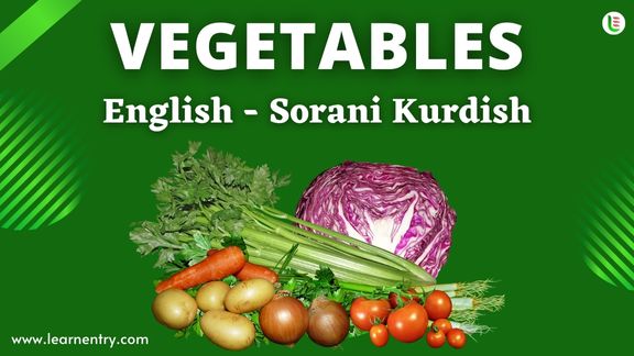 Vegetables names in Sorani kurdish and English - Common Sorani kurdish Vocabulary